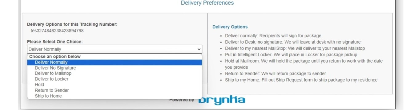 Brynka Delivery Preferences screen where a recipient picks how their package is delivered